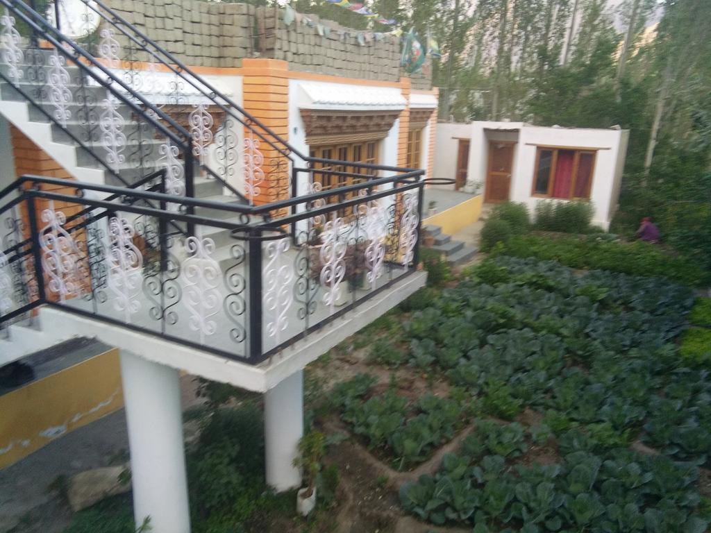 Galaxy Guest House Hundar Esterno foto