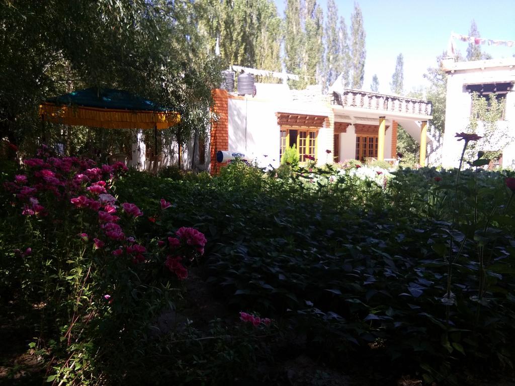 Galaxy Guest House Hundar Esterno foto